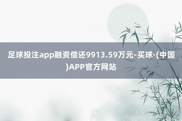 足球投注app融资偿还9913.59万元-买球·(中国)APP官方网站