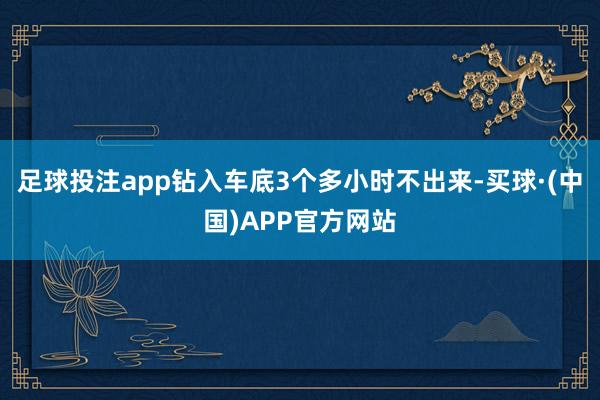 足球投注app钻入车底3个多小时不出来-买球·(中国)APP官方网站