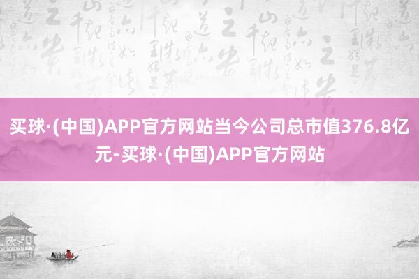 买球·(中国)APP官方网站当今公司总市值376.8亿元-买球·(中国)APP官方网站