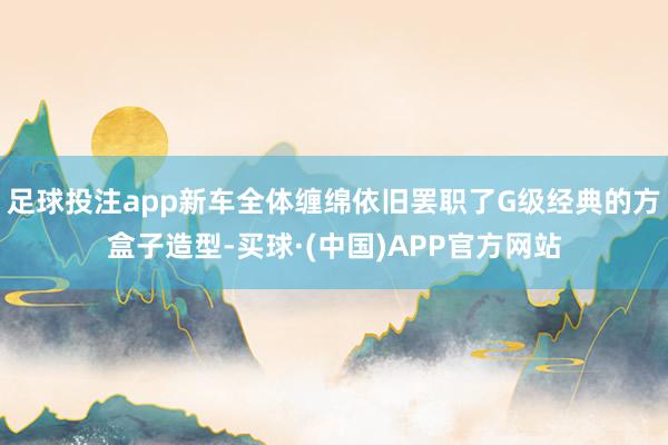 足球投注app新车全体缠绵依旧罢职了G级经典的方盒子造型-买球·(中国)APP官方网站