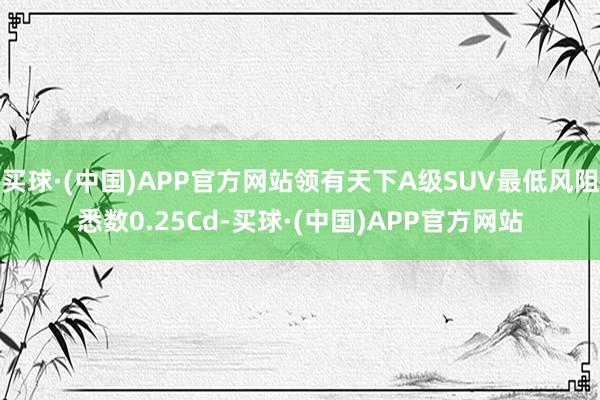 买球·(中国)APP官方网站领有天下A级SUV最低风阻悉数0.25Cd-买球·(中国)APP官方网站