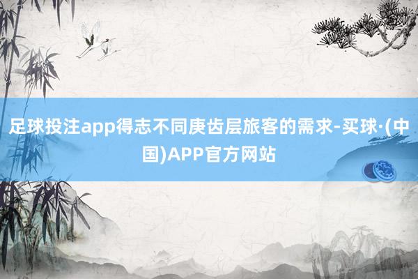 足球投注app得志不同庚齿层旅客的需求-买球·(中国)APP官方网站