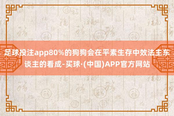 足球投注app80%的狗狗会在平素生存中效法主东谈主的看成-买球·(中国)APP官方网站