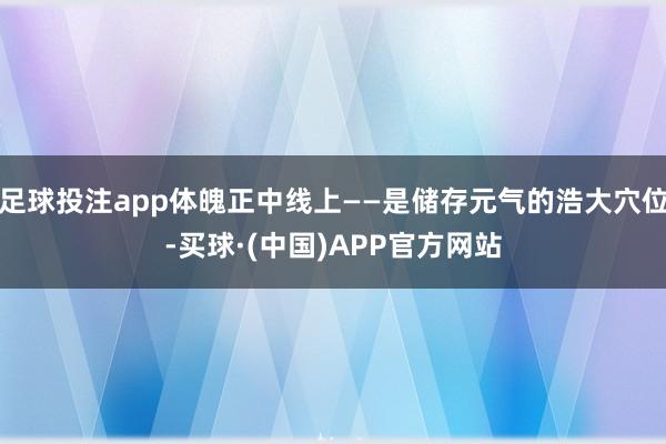 足球投注app体魄正中线上——是储存元气的浩大穴位-买球·(中国)APP官方网站