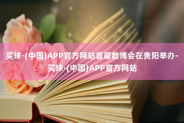 买球·(中国)APP官方网站首届数博会在贵阳举办-买球·(中国)APP官方网站