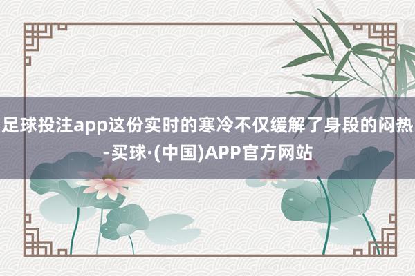 足球投注app这份实时的寒冷不仅缓解了身段的闷热-买球·(中国)APP官方网站