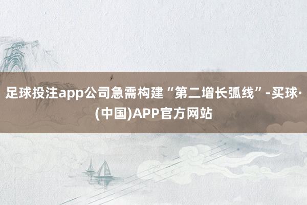 足球投注app公司急需构建“第二增长弧线”-买球·(中国)APP官方网站