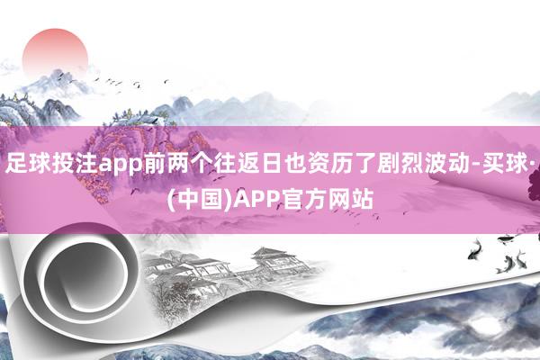 足球投注app前两个往返日也资历了剧烈波动-买球·(中国)APP官方网站