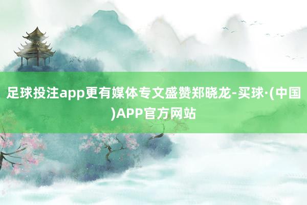 足球投注app更有媒体专文盛赞郑晓龙-买球·(中国)APP官方网站