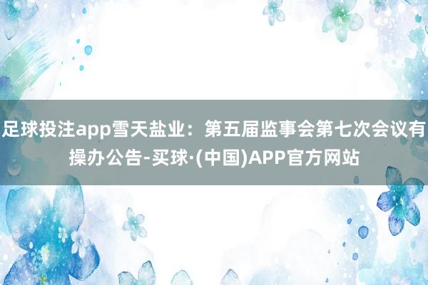 足球投注app雪天盐业：第五届监事会第七次会议有操办公告-买球·(中国)APP官方网站