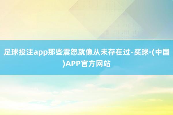 足球投注app那些震怒就像从未存在过-买球·(中国)APP官方网站
