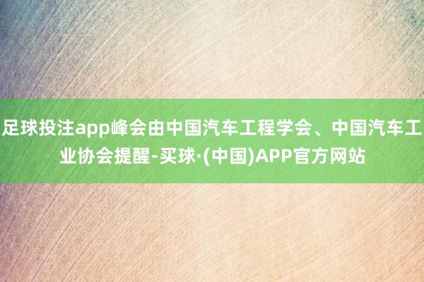 足球投注app峰会由中国汽车工程学会、中国汽车工业协会提醒-买球·(中国)APP官方网站