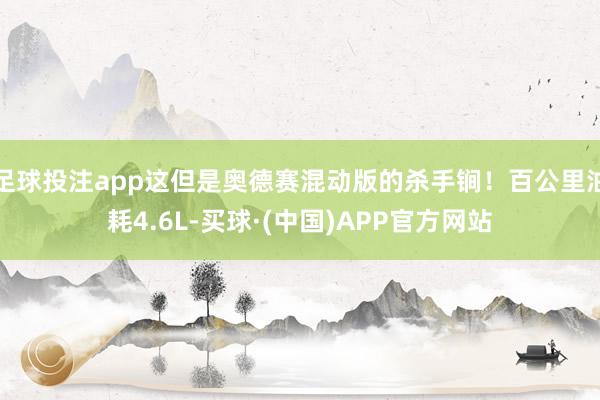 足球投注app这但是奥德赛混动版的杀手锏！百公里油耗4.6L-买球·(中国)APP官方网站