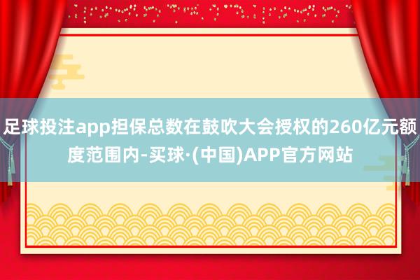 足球投注app担保总数在鼓吹大会授权的260亿元额度范围内-买球·(中国)APP官方网站
