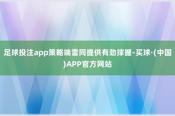 足球投注app策略端雷同提供有劲撑握-买球·(中国)APP官方网站