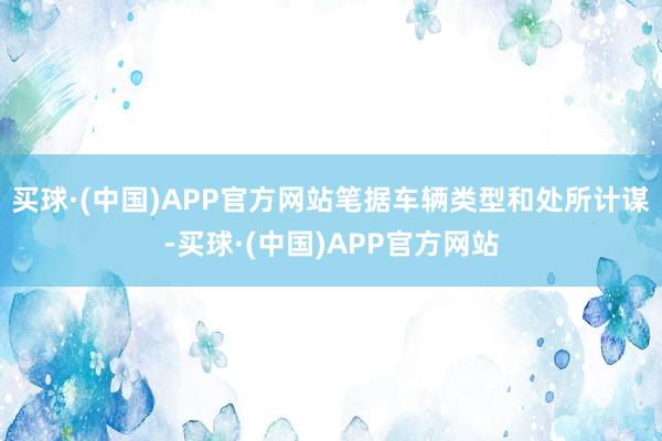 买球·(中国)APP官方网站笔据车辆类型和处所计谋-买球·(中国)APP官方网站