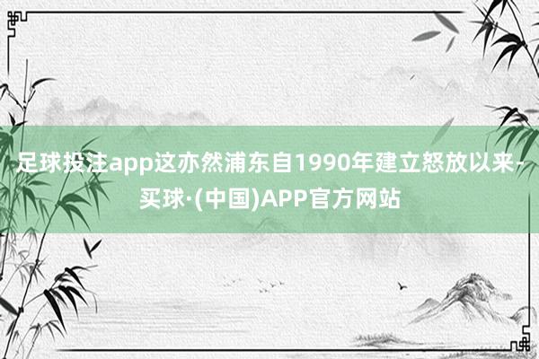足球投注app这亦然浦东自1990年建立怒放以来-买球·(中国)APP官方网站