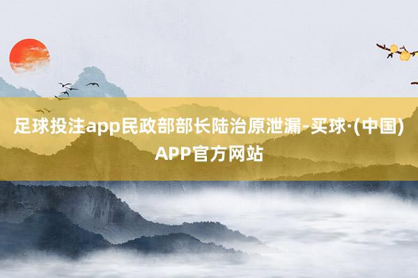 足球投注app民政部部长陆治原泄漏-买球·(中国)APP官方网站