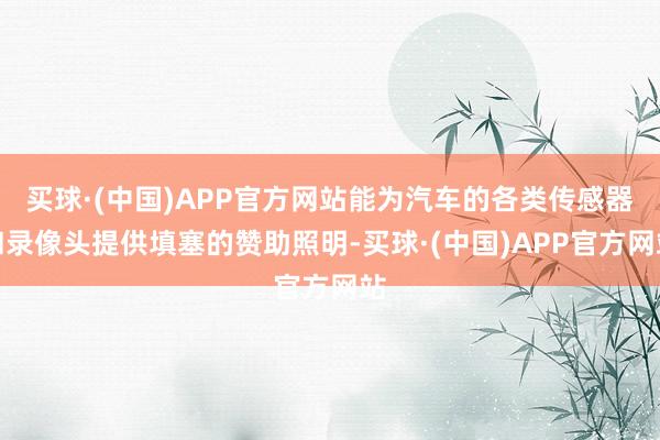买球·(中国)APP官方网站能为汽车的各类传感器和录像头提供填塞的赞助照明-买球·(中国)APP官方网站