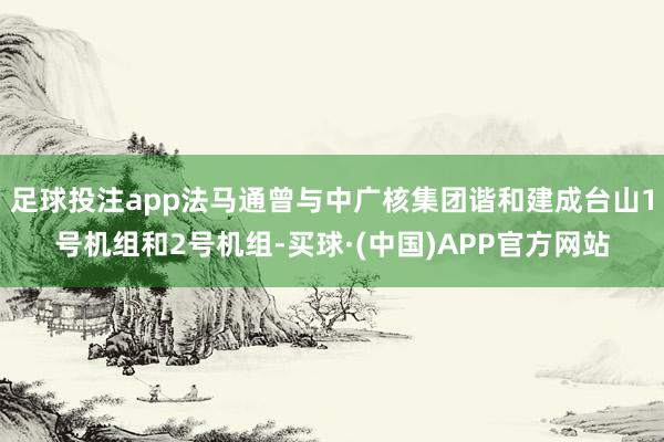 足球投注app法马通曾与中广核集团谐和建成台山1号机组和2号机组-买球·(中国)APP官方网站