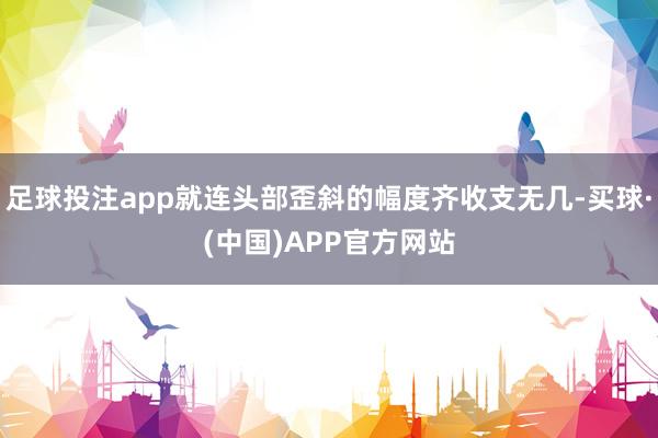 足球投注app就连头部歪斜的幅度齐收支无几-买球·(中国)APP官方网站