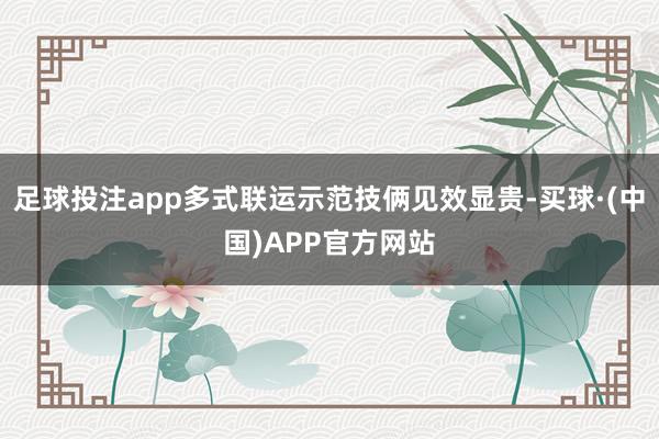 足球投注app多式联运示范技俩见效显贵-买球·(中国)APP官方网站