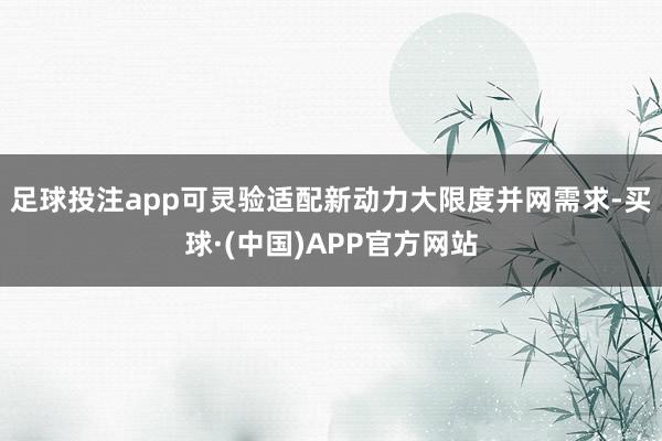 足球投注app可灵验适配新动力大限度并网需求-买球·(中国)APP官方网站