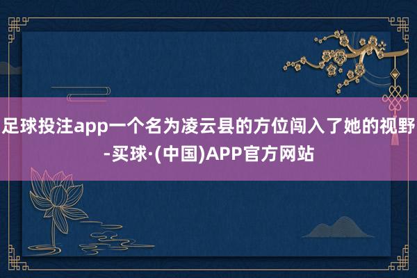 足球投注app一个名为凌云县的方位闯入了她的视野-买球·(中国)APP官方网站
