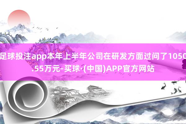 足球投注app本年上半年公司在研发方面过问了1050.55万元-买球·(中国)APP官方网站