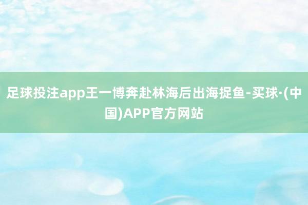 足球投注app王一博奔赴林海后出海捉鱼-买球·(中国)APP官方网站