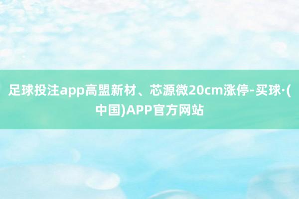 足球投注app高盟新材、芯源微20cm涨停-买球·(中国)APP官方网站