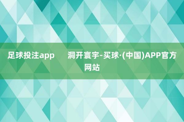 足球投注app      洞开寰宇-买球·(中国)APP官方网站