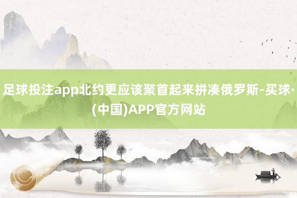 足球投注app北约更应该聚首起来拼凑俄罗斯-买球·(中国)APP官方网站