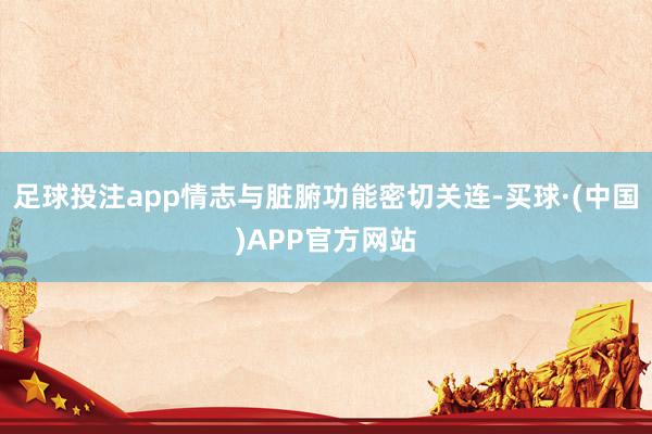 足球投注app情志与脏腑功能密切关连-买球·(中国)APP官方网站