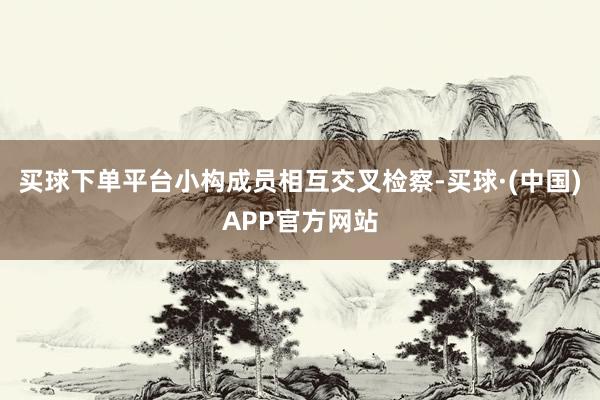 买球下单平台小构成员相互交叉检察-买球·(中国)APP官方网站