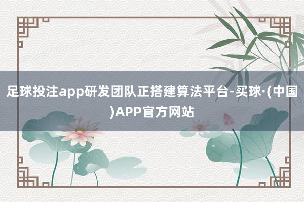 足球投注app研发团队正搭建算法平台-买球·(中国)APP官方网站