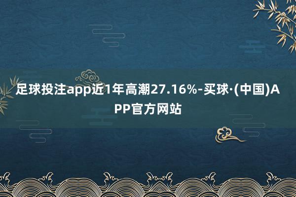足球投注app近1年高潮27.16%-买球·(中国)APP官方网站