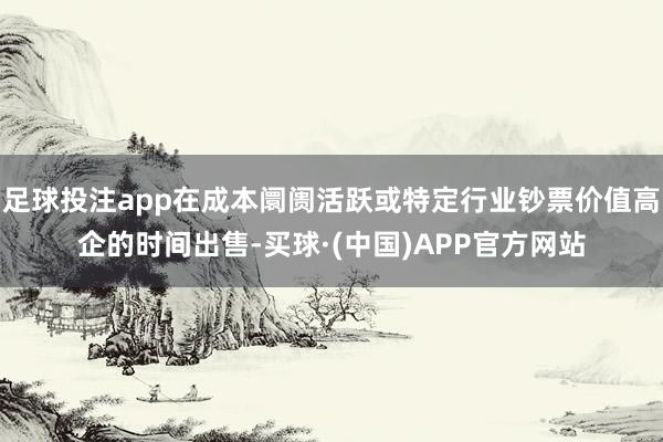 足球投注app在成本阛阓活跃或特定行业钞票价值高企的时间出售-买球·(中国)APP官方网站