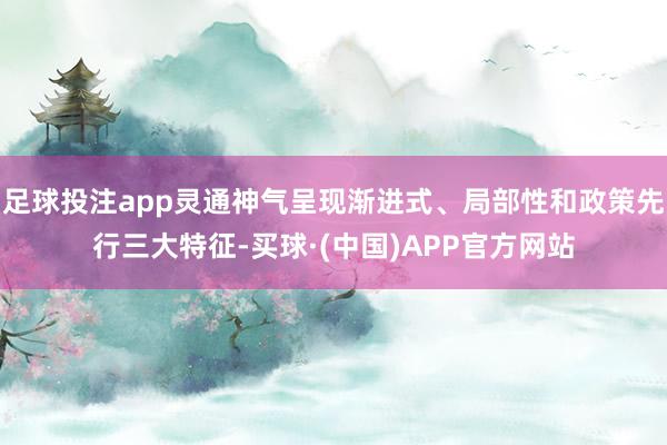 足球投注app灵通神气呈现渐进式、局部性和政策先行三大特征-买球·(中国)APP官方网站