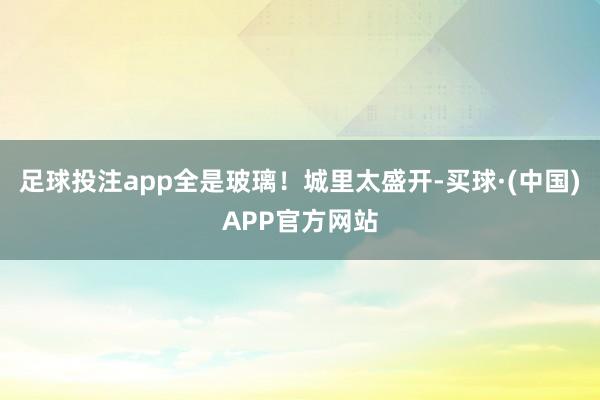 足球投注app全是玻璃！城里太盛开-买球·(中国)APP官方网站