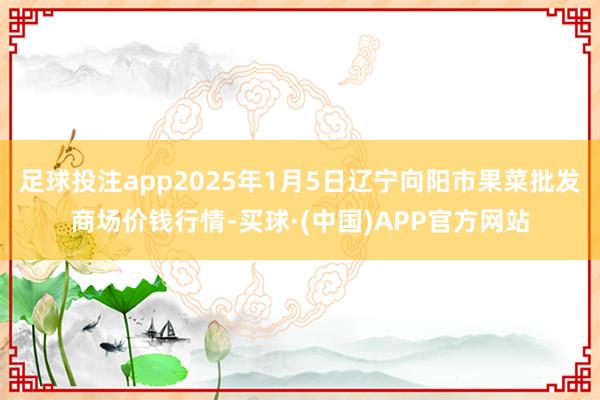 足球投注app2025年1月5日辽宁向阳市果菜批发商场价钱行情-买球·(中国)APP官方网站