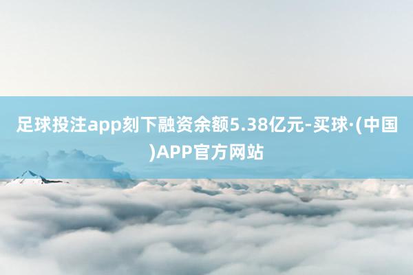 足球投注app刻下融资余额5.38亿元-买球·(中国)APP官方网站