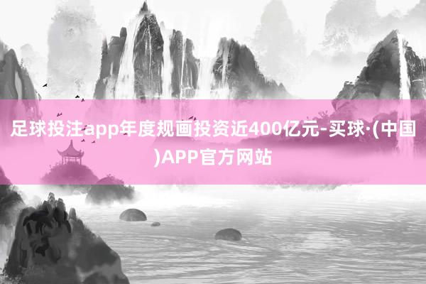 足球投注app年度规画投资近400亿元-买球·(中国)APP官方网站