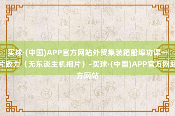 买球·(中国)APP官方网站外贸集装箱船埠功课一片致力（无东谈主机相片）-买球·(中国)APP官方网站