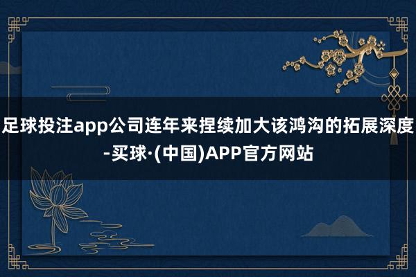 足球投注app公司连年来捏续加大该鸿沟的拓展深度-买球·(中国)APP官方网站