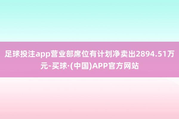 足球投注app营业部席位有计划净卖出2894.51万元-买球·(中国)APP官方网站