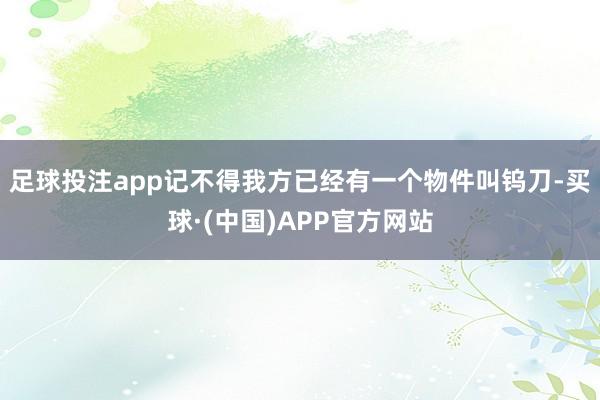 足球投注app记不得我方已经有一个物件叫钨刀-买球·(中国)APP官方网站