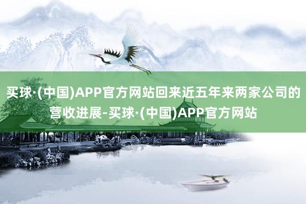 买球·(中国)APP官方网站回来近五年来两家公司的营收进展-买球·(中国)APP官方网站