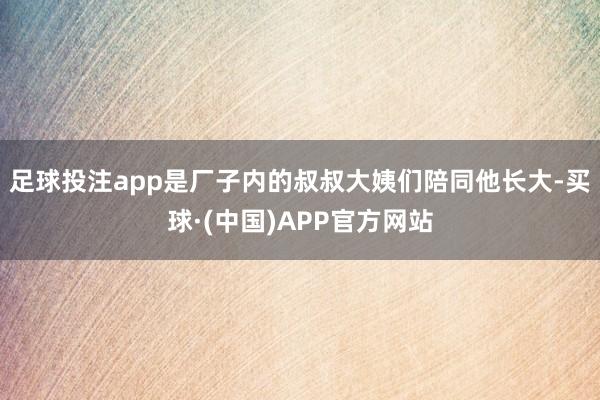 足球投注app是厂子内的叔叔大姨们陪同他长大-买球·(中国)APP官方网站