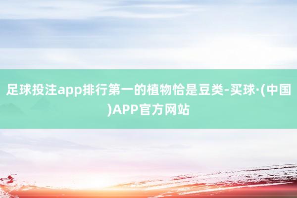 足球投注app排行第一的植物恰是豆类-买球·(中国)APP官方网站
